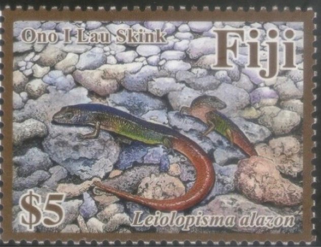 Ono I Lau Skink