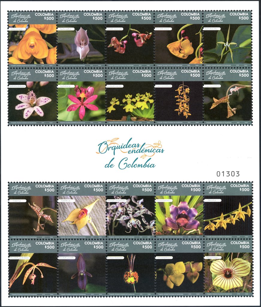 Endemic Orchids of Colombia