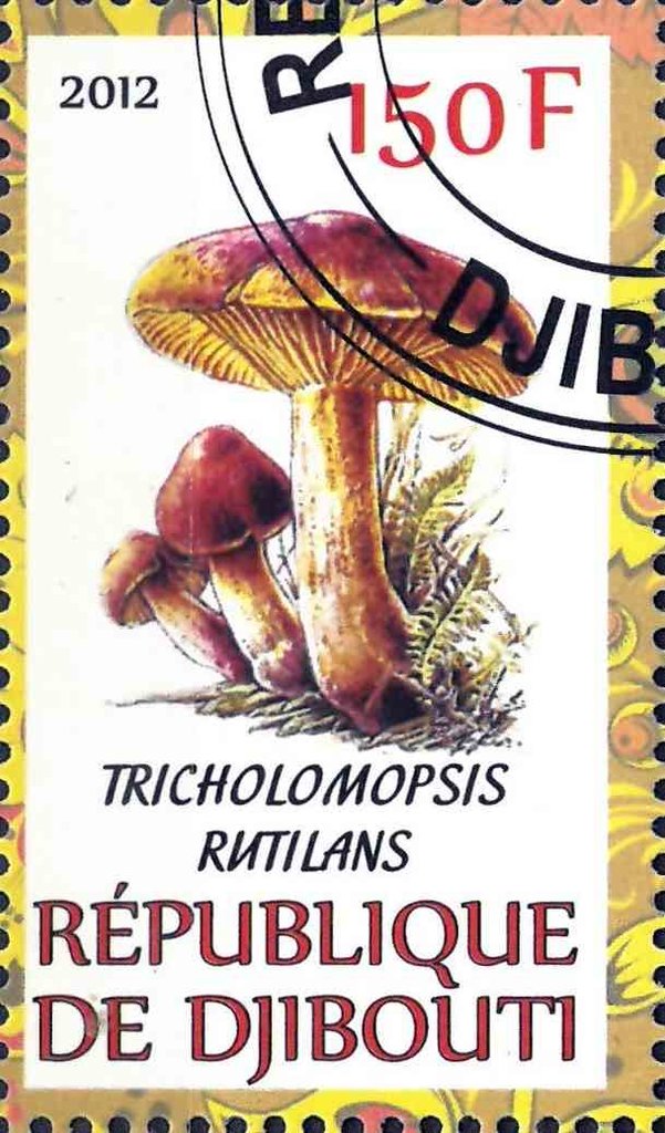 Tricholomopsis Rutilans