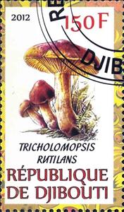 Stamp, Tricholomopsis Rutilans, Cinderellas,  , Mushrooms