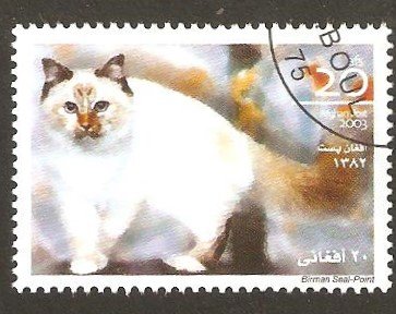 Birman seal point