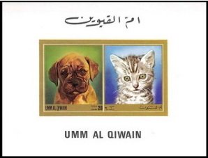 Dog and Cat