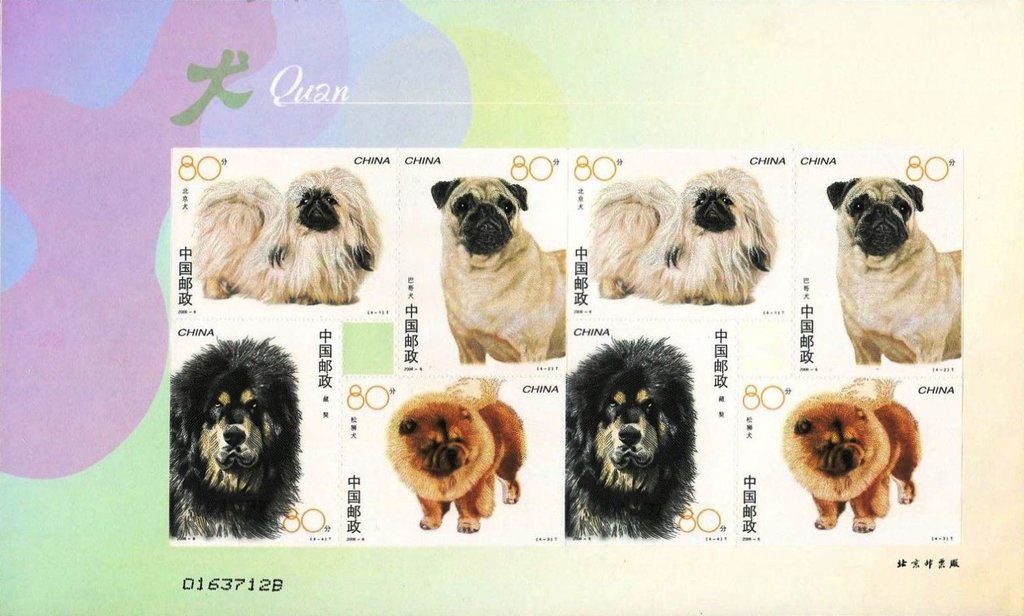 Dogs