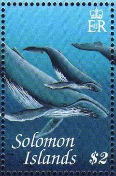 Whales