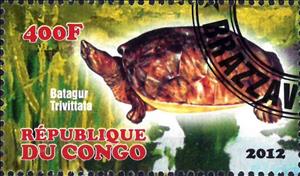 Stamp, Batagur Trivittata, Cinderellas,  , Animals (Fauna), Turtles