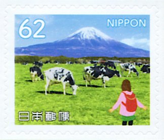 Cattle on Plateau, Mt Fuji