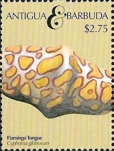 Stamp, Flamingo Tongue (Cyphoma gibbosum), Antigua and Barbuda,  , Animals (Fauna), Sea Life, Shells