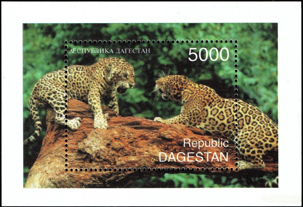 Leopards S/S