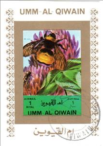 Souvenir Sheet, Bumblebee, Umm al-Qiwain,  , Animals (Fauna), Bees, Insects
