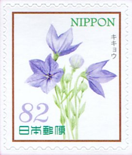 Balloon Flower