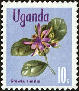 Stamp, Grewia similis, Uganda,  , Flowers, Plants (Flora)