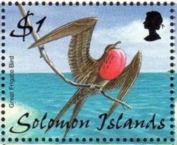 Stamp, Great Frigatebird (Frigate minor), Solomon Islands,  , Birds