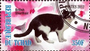 Stamp, British Shorthair, Cinderellas,  , Animals (Fauna), Cats