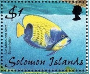Sun Moon and Stars Butterflyfish