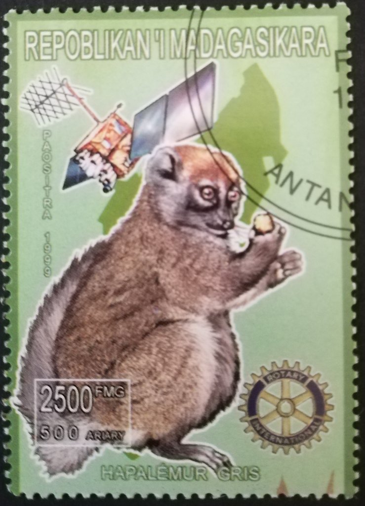 Animaux du monde