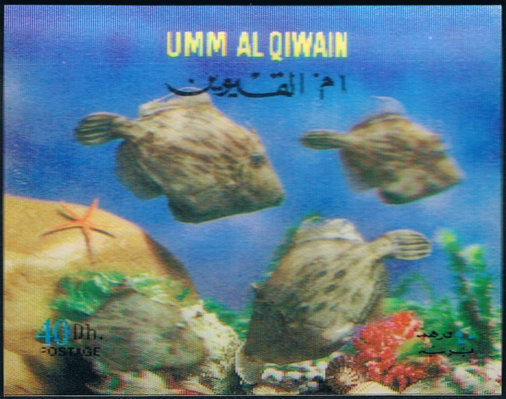 Tuna fish