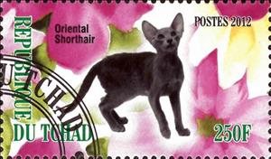Stamp, Oriental Shorthair, Cinderellas,  , Animals (Fauna), Cats