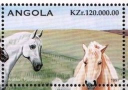 Arabian, Palomino