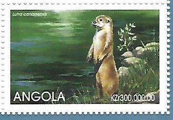 Lutra canadensis