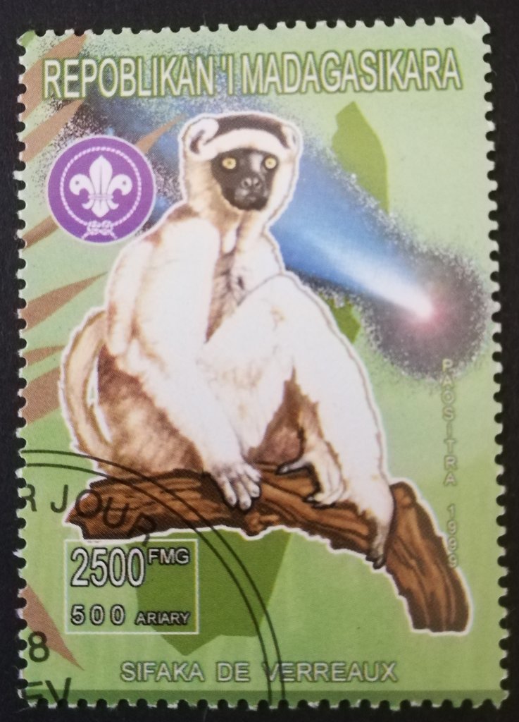 Animaux du monde