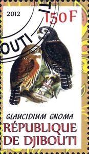 Stamp, Glaucidium Gnoma, Cinderellas,  , Animals (Fauna), Birds, Owls