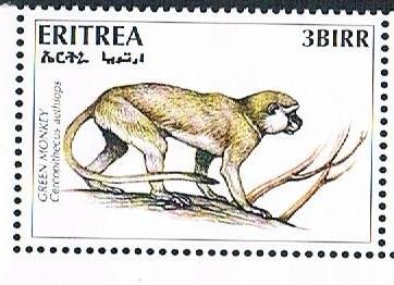 Stamp, Green monkey (Cercopithecus aethiops), Eritrea,  , Animals (Fauna), Mammals, Monkeys