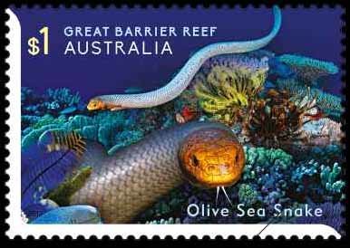 Olive Sea Snake