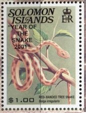 Red-banded tree snake