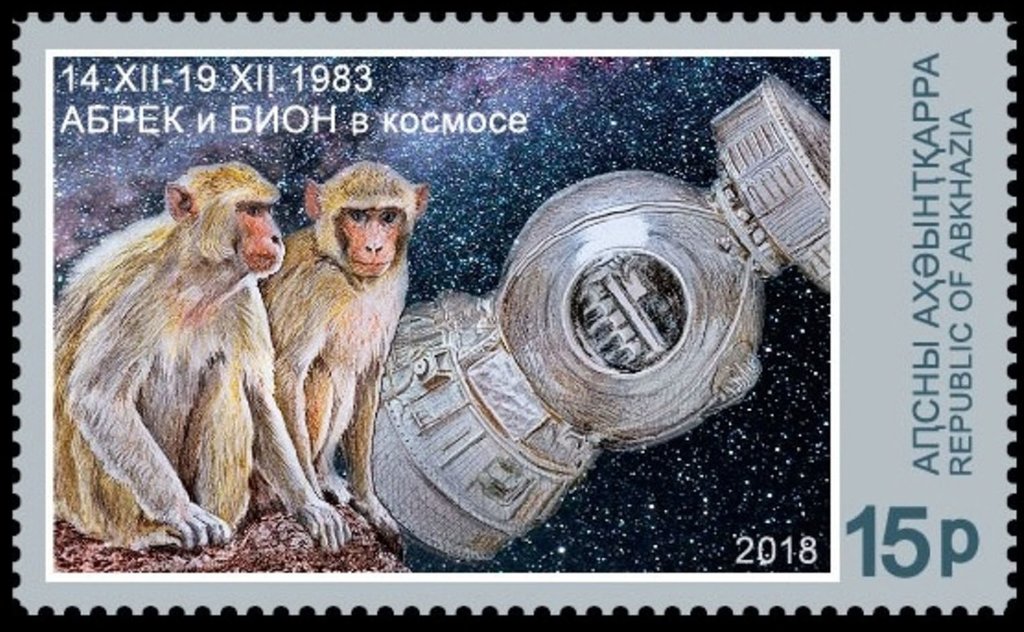 Space Monkey Abrek and Bion