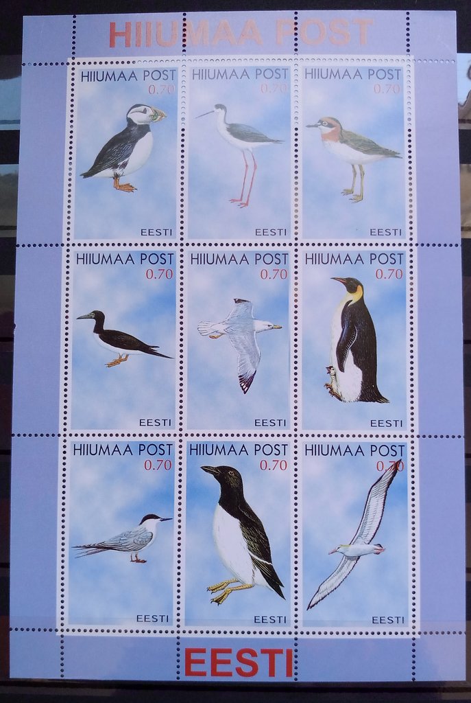 Seabirds