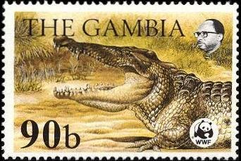 Nile Crocodile (Crocodylus niloticus)