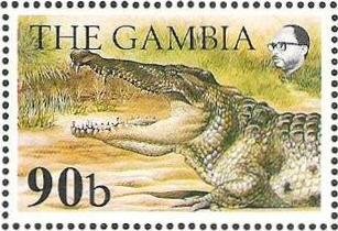 Nile Crocodile (Crocodylus niloticus)