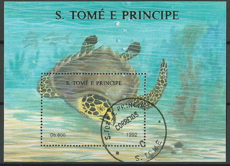 See Turtlr