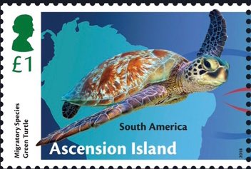Migratory Species : Green Turtle