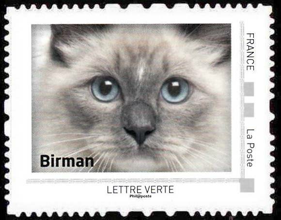 Birman