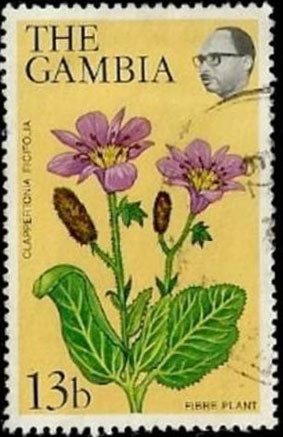 Stamp, Fiber Plant, Gambia,  , Flowers