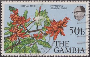 Stamp, Coral Tree, Gambia,  , Flowers