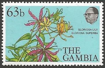Gloriosa Lily
