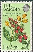 Stamp, Kindin Dolo, Gambia,  , Flowers