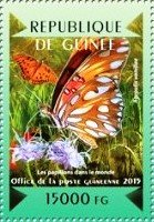 Gulf Fritillary (Agraulis vanillae)