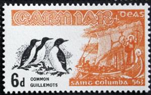 Stamp, Common Guillemots - Cepphus grylle, Cinderellas,  , Birds