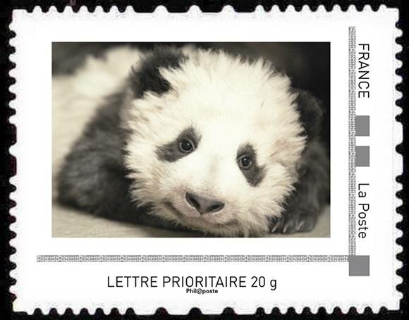 Yuan Meng le Panda de Beauval
