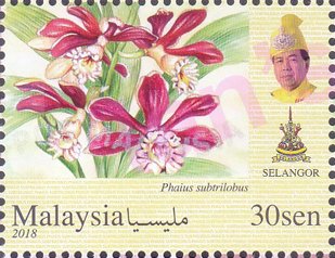 Orchids of Malaysia