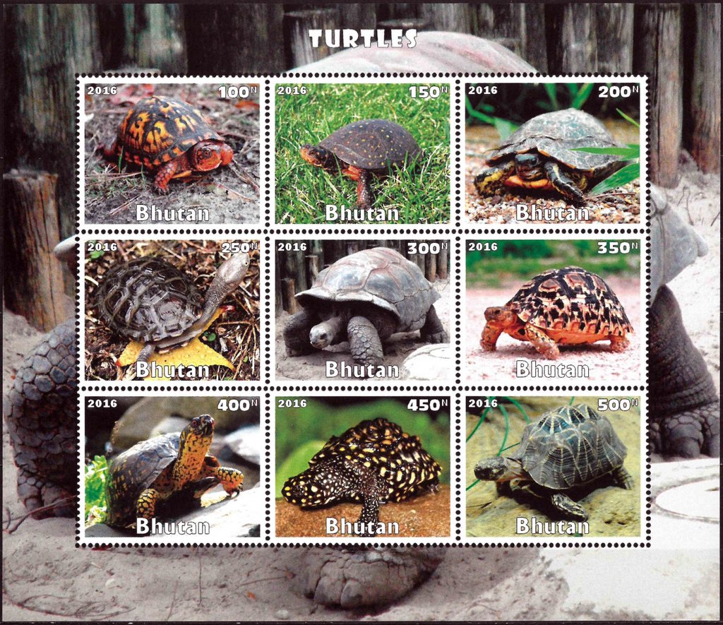 Turtles