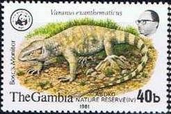 Stamp, Bosc's Monitor (Varanus exanthematicus), Gambia,  , WWF, Reptiles, Animals (Fauna)