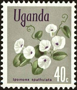 Stamp, Ipomoea spathulata, Uganda,  , Flowers, Plants (Flora)
