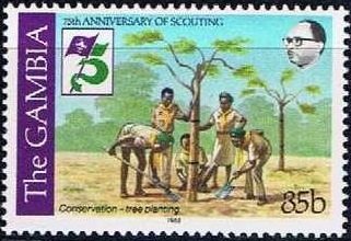 Tree Planting