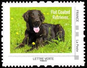 Stamp, Flat Coated Retriever, France,  , Animals (Fauna), Dogs