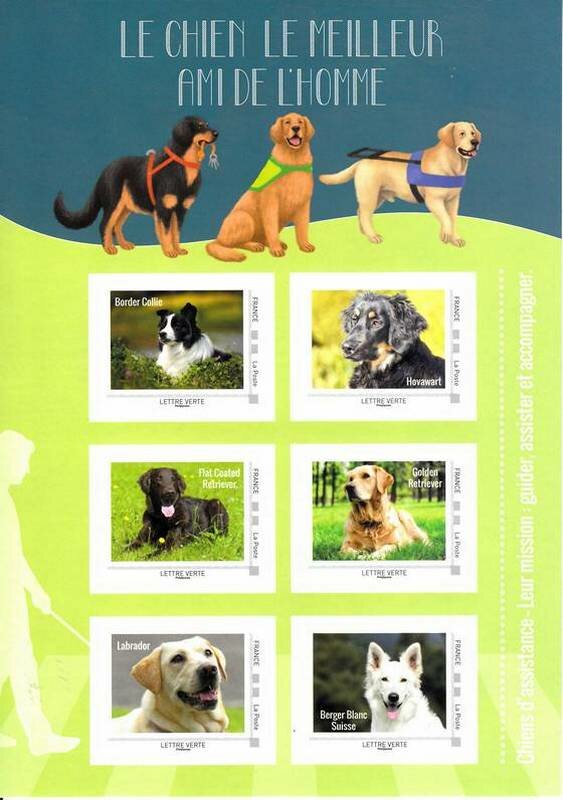 Dogs assistance