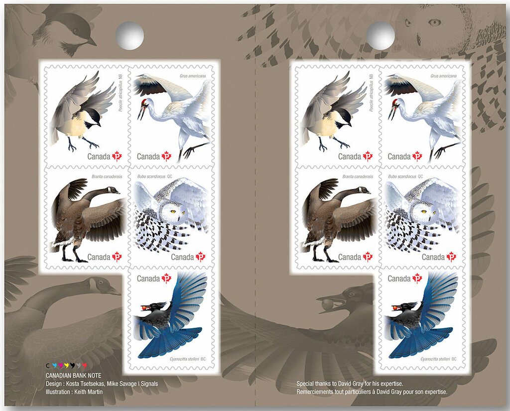 Birds of Canada